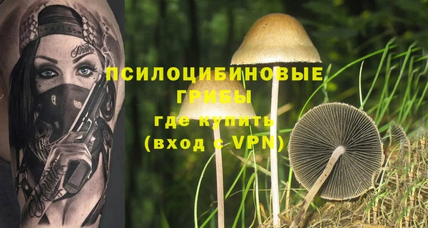 таблы Армянск