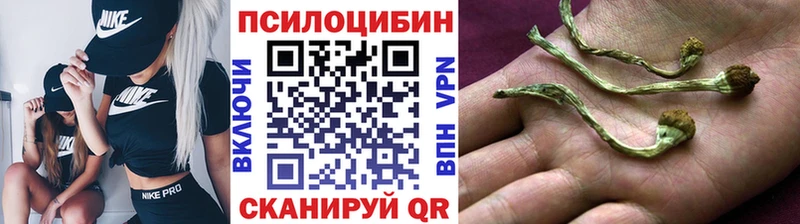 где найти   Юрюзань  Галлюциногенные грибы мухоморы 